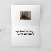 おもしろいなアルマジロのバースデー・カードのユーモア カード (内部)