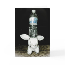 おもしろいなウサギのバースデー・カード。 異常があって下さい