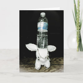 おもしろいなウサギのバースデー・カード。 異常があって下さい カード