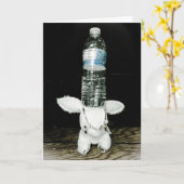 おもしろいなウサギのバースデー・カード。 異常があって下さい カード (黄色い花)