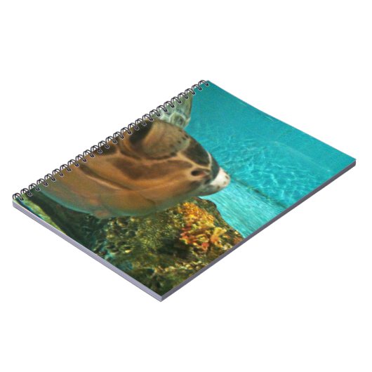 おもしろいなウミガメのかいま見 ノートブック (左側)