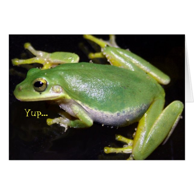 おもしろいなカエルカード (正面横)