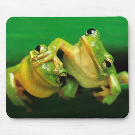 おもしろいなカエル マウスパッド (正面)