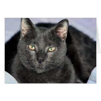 おもしろいなカード