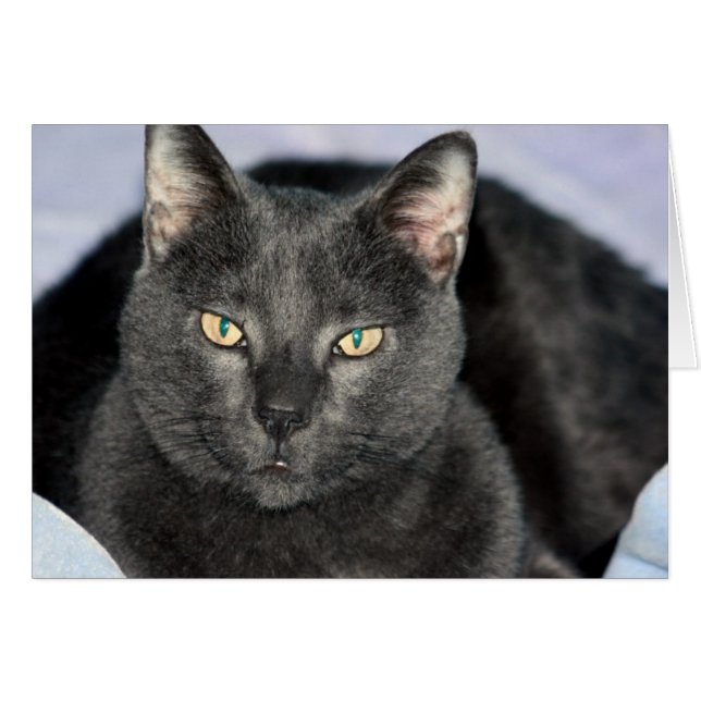 おもしろいなカード (正面横)