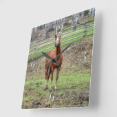 おもしろいなクリの種馬の馬のいななく写真 スクエア壁時計 (傾斜)