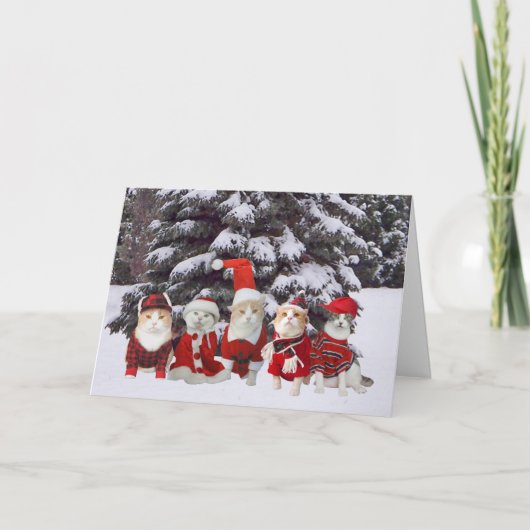 おもしろいなクリスマスの子猫猫 シーズンカード (正面)