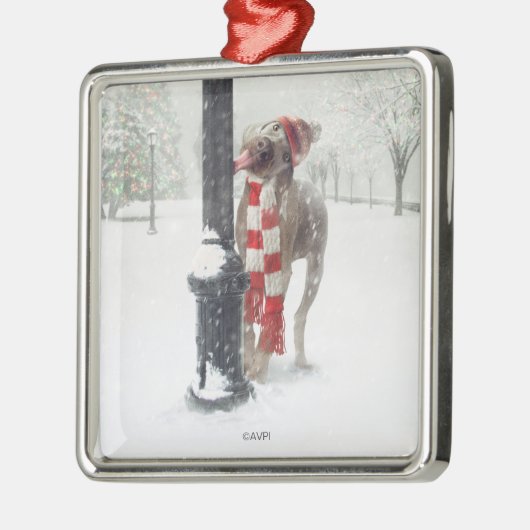 おもしろいなクリスマス犬はポーランド人を舐めます メタルオーナメント (左)