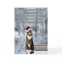 おもしろいなクリスマス猫