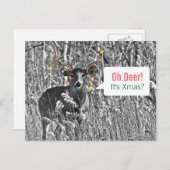 おもしろいなクリスマス-クリスマスの照明を持つシカ シーズンポストカード (正面/裏面)