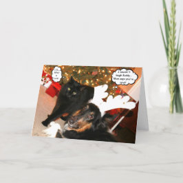 おもしろいなコリー及び黒猫のクリスマスカード2 シーズンカード