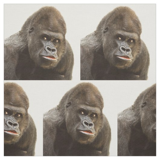 おもしろいなゴリラの生地 ファブリック (見本)
