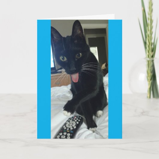 おもしろいなサンキューカード猫は遠隔母Daを隠します サンキューカード (正面)