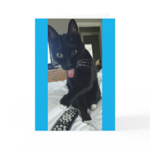 おもしろいなサンキューカード猫は遠隔母Daを隠します