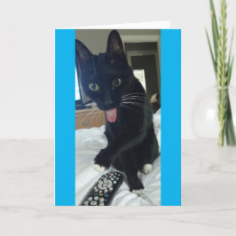 おもしろいなサンキューカード猫は遠隔母Daを隠します サンキューカード