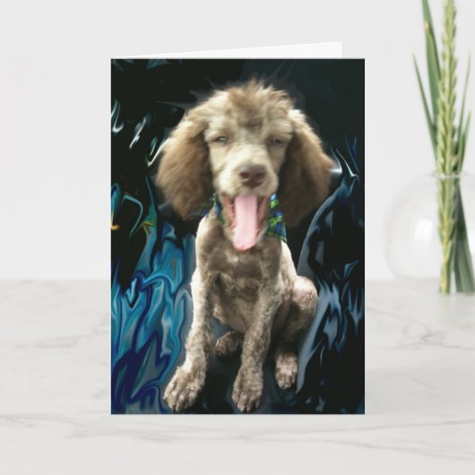 おもしろいなサンキューカード サンキューカード (正面)