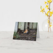 おもしろいなシェットランド・シープドッグのシェットランド・シープドッグ カード (黄色い花)