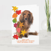 おもしろいなダックスフントの感謝祭カード シーズンカード (正面)