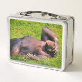 おもしろいなチンパンジー動物 メタルランチボックス (裏面)