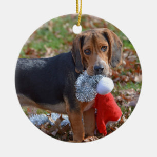 おもしろいなビーグル犬の子犬はサンタの帽子を取りました セラミックオーナメント