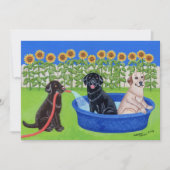 おもしろいなプールを囲んでのパーティのラブラドール 招待状 (正面)