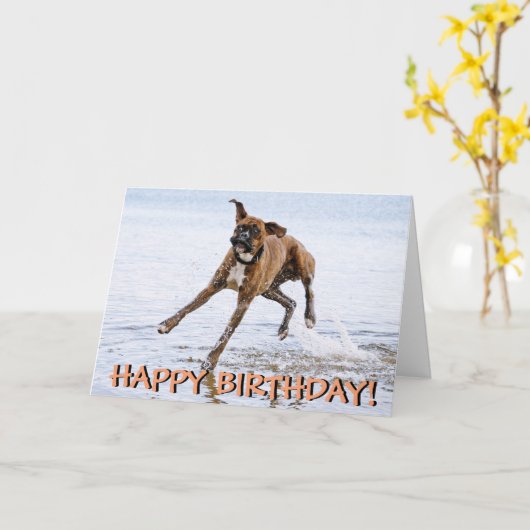 おもしろいなボクサー犬のバースデー・カード カード (黄色い花)