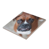 おもしろいなボクサー犬 タイル (側面)