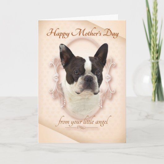 おもしろいなボストンテリアの母の日カード カード (正面)