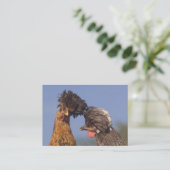 おもしろいなポーランドの鶏は名刺2味方しました 名刺 (スタンド正面)