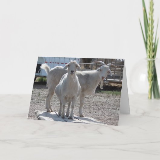 おもしろいなヤギ記念日のお祝いの賛辞 カード (正面)