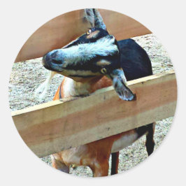 おもしろいなヤギ-ステッカーのシート ラウンドシール