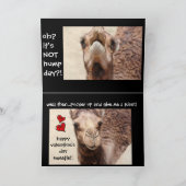 おもしろいなラクダのこぶ日のバレンタインカード シーズンカード (内部)