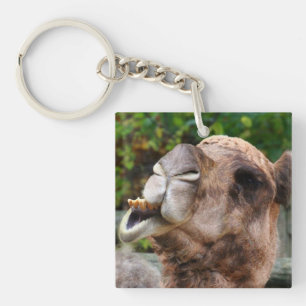 おもしろいなラクダの野性生物動物の写真 キーホルダー