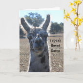 おもしろいなラマのバースデー・カード、私は流暢なラマを…話します カード (黄色い花)