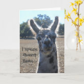 おもしろいなラマのバースデー・カード、私は流暢なラマを…話します カード (黄色い花)
