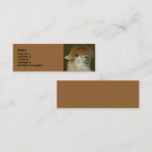 おもしろいなラマ スキニー名刺 (正面/裏面)