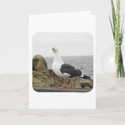 おもしろいな傾きの頭部のカモメ カード (正面)