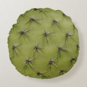 おもしろいな円形の緑のサボテンは装飾用クッションを突き刺します ラウンドクッション (正面)