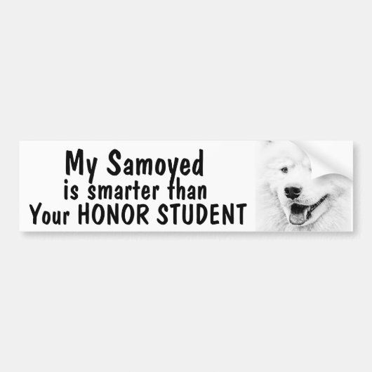 おもしろいな名誉学生より頭が切れるな- Samoyed バンパーステッカー (正面)