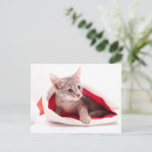 おもしろいな子ネコサンタクロースの帽子 シーズンポストカード (スタンド正面)