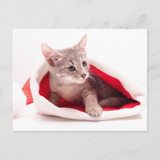 おもしろいな子ネコサンタクロースの帽子 シーズンポストカード (正面)