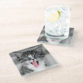 おもしろいな子ネコ ガラスコースター (アングル)