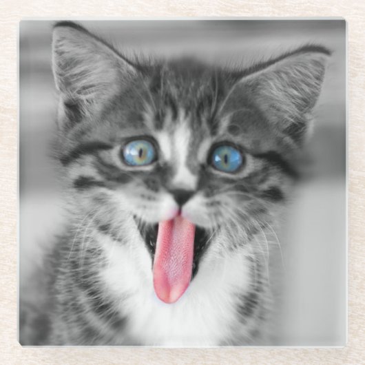 おもしろいな子ネコ ガラスコースター (正面)