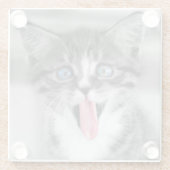 おもしろいな子ネコ ガラスコースター (裏面)