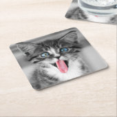 おもしろいな子ネコ スクエアペーパーコースター (アングル)