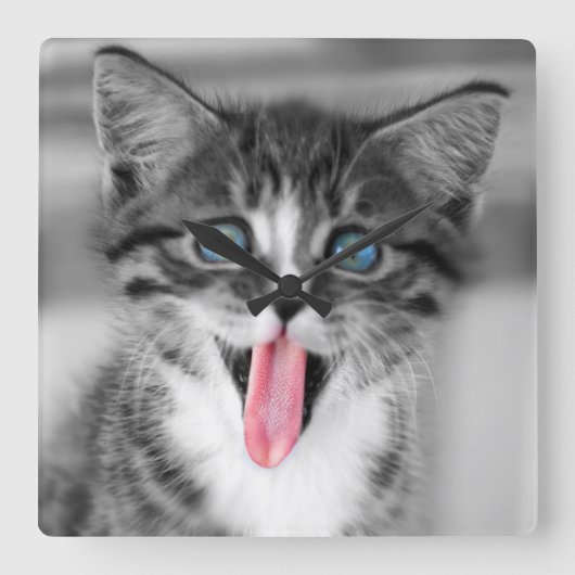 おもしろいな子ネコ スクエア壁時計 (正面)