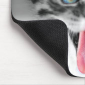 おもしろいな子ネコ マウスパッド (コーナー)