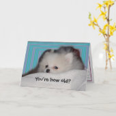 おもしろいな子犬のバースデー・カード カード (黄色い花)