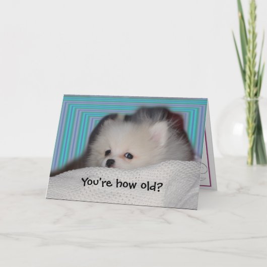 おもしろいな子犬のバースデー・カード カード (正面)