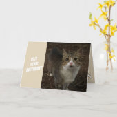 おもしろいな子猫のバースデー・カード カード (黄色い花)
